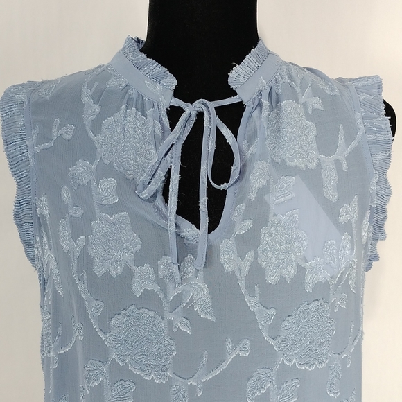 Rose & Olive Sheer Sleeveless Top - Picture 4 of 8